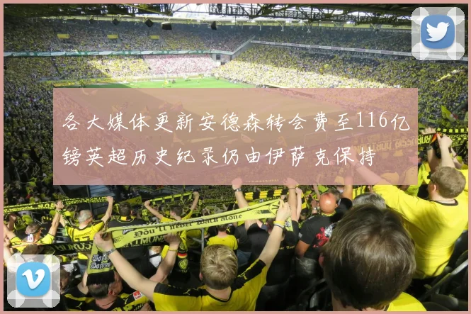 各大媒体更新安德森转会费至116亿镑英超历史纪录仍由伊萨克保持